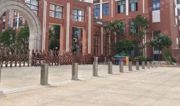 学校黄瓜视频免费在线观看是否有必要